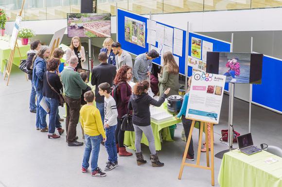 Location Panneau d'exposition / Affichage pour posters & tableaux, peintures, photos,...