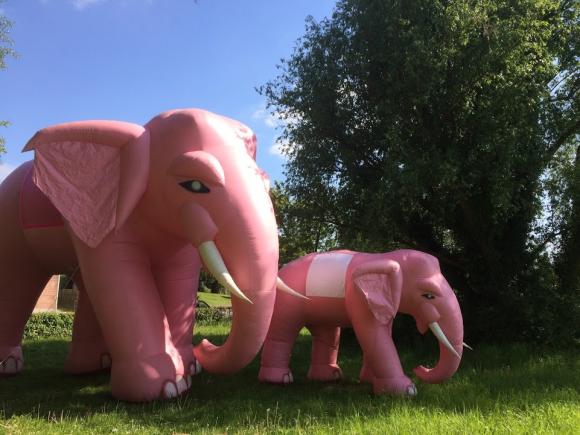 Location Grand éléphant gonflable